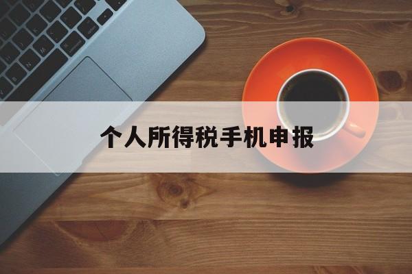 个人所得税手机申报(个人所得税手机申报怎么操作)