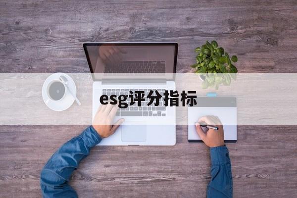 esg评分指标(esspri评分表)